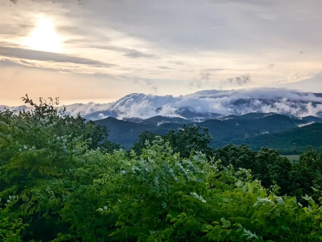 A scenic view of the Great Smoky Mountains National Park at sunrise, with mist rolling over the mountain peaks. The sky displays soft hues of gold and blue as the sun rises, casting a warm glow. Lush green foliage in the foreground frames the landscape, adding depth to the mist-covered ridges in the distance.
