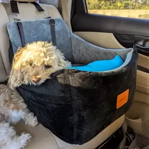 INDYBUD Dog Bootster Car Seat A small, fluffy cream-colored dog with curly fur rests its head on the edge of a plush INDYBUD Dog Booster Car Seat in the back of a car. The booster seat is black and gray with a soft, cushioned interior and a bright blue pillow. It is securely strapped to the car seat with adjustable black straps, providing a cozy and safe space for the pet during travel.