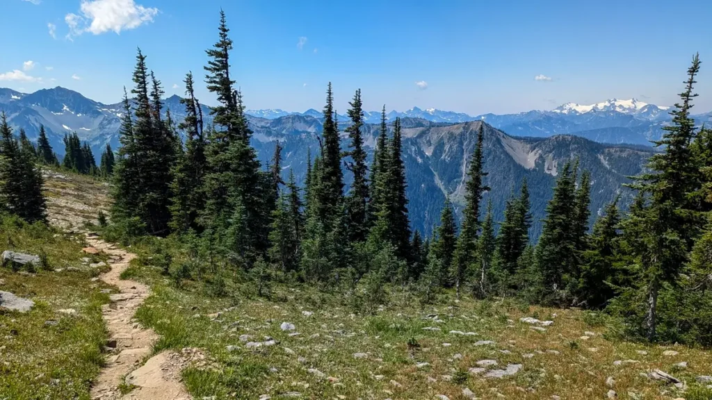 A narrow dirt hiking trail winds through an alpine meadow with scattered rocks and evergreen trees, leading toward a stunning backdrop of rugged mountain peaks in Olympic National Park. Snow-capped summits contrast against the deep blue sky, while lush greenery frames the path. This scenic view is from Obstruction Point Trail near Hurricane Ridge.