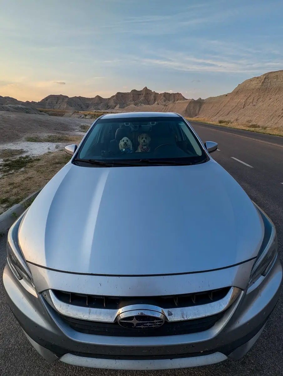Subaru Legacy Badlands National Park A silver Subaru parked on a road in Badlands National Park, with rugged rock formations in the background under a pastel sky. Two small dogs sit inside the car, visible through the windshield, wearing colorful harnesses. The scene captures a road trip vibe in a stunning natural setting.
