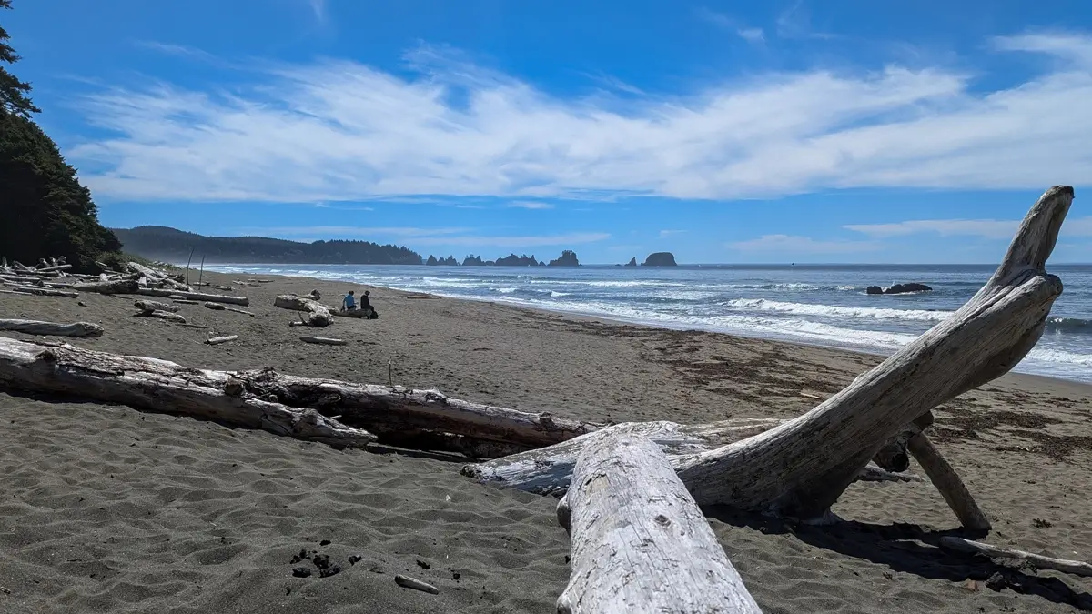 Point Of Arches View From Shi Shi Beach Trail Wide view of Shi Shi Beach in Washington featuring driftwood logs scattered across dark sand, with two people sitting near the shoreline and sea stacks from the Point of Arches rising in the distance beneath a partly cloudy blue sky.