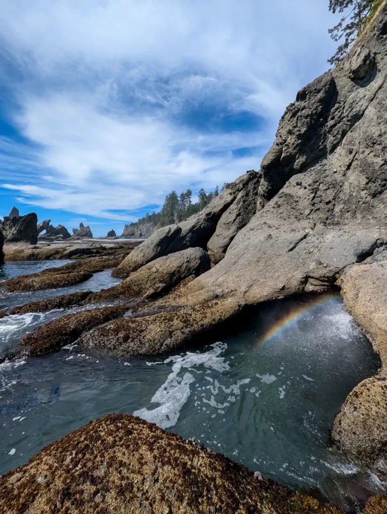 A tide pool near the base of rocky sea stacks shows a small rainbow forming in the mist, with waves lapping at barnacle-covered rocks under a bright blue sky at Shi Shi Beach WA.