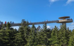 Kuwohi (Formerly Clingmans Dome): Your Guide to Smoky’s Highest Peak