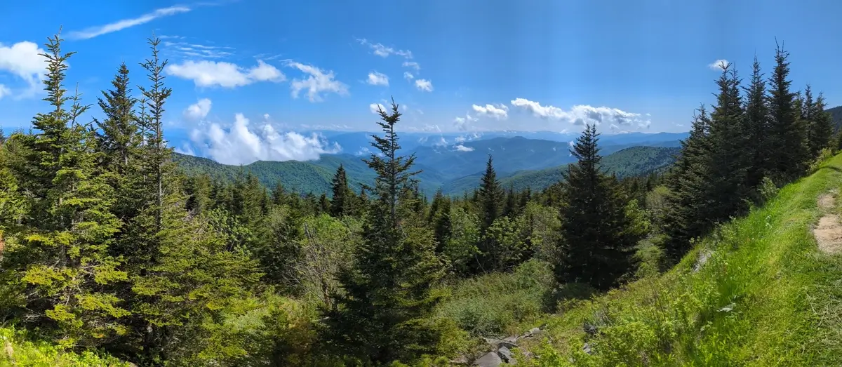 Parking Lot Panorama Clingmans Dome A wide, breathtaking panoramic view from Clingmans Dome, Tennessee, where the Great Smoky Mountains are framed by tall evergreen trees under a bright blue sky with scattered clouds. Layers of lush green ridges stretch into the distance, creating a sense of vast wilderness and elevation.