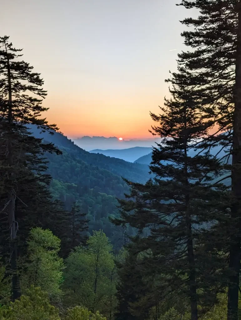 A beautiful sunset in the Great Smoky Mountains National Park. Trees stand to the left and right of the image. Green, tree covered mountains are seen in the distance. The sun is setting behind the clouds and beyond the Appalachian mountain range.