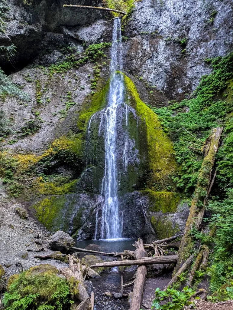 Marymere Falls Trail Guide: A Short, Scenic Hike in Olympic National Park