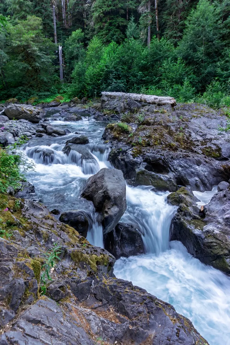 A scenic view of Salmon Cascades in Olympic National Park, where clear, rushing water flows over rugged volcanic rocks and small waterfalls amid dense evergreen forest. A large boulder splits the stream, with foamy whitewater collecting in a rocky pool below.
