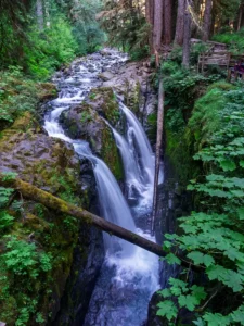 What It’s Like Hiking to Sol Duc Falls in Olympic National Park