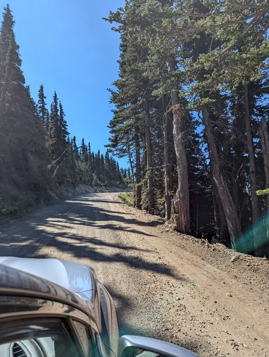 Driving Down Obstruction Point Road