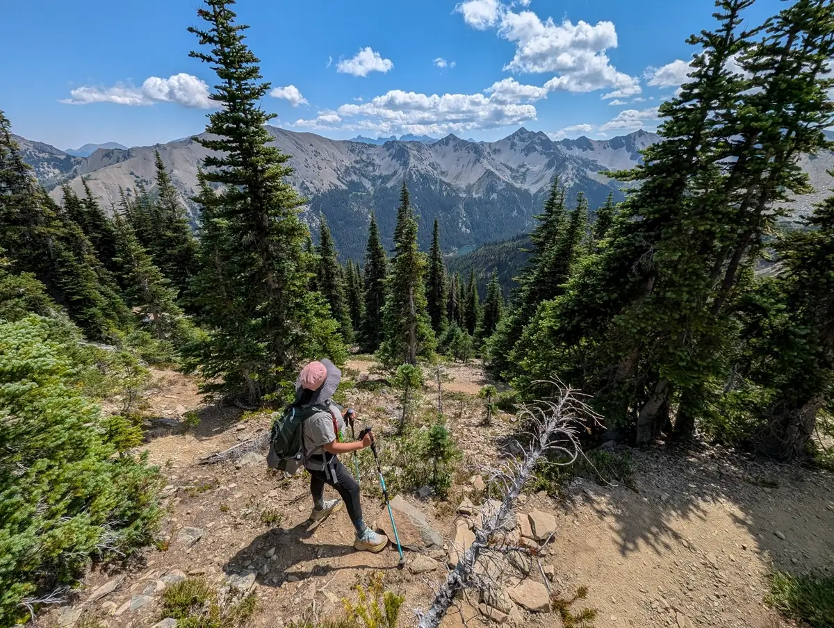 Grand Lake Olympic National Park A hiker wearing a pink sun hat and backpack treks through a dirt trail flanked by tall evergreens, with dramatic jagged peaks of the Olympic Mountains rising in the background under a blue sky with scattered clouds. Grand Lake is in the distance.