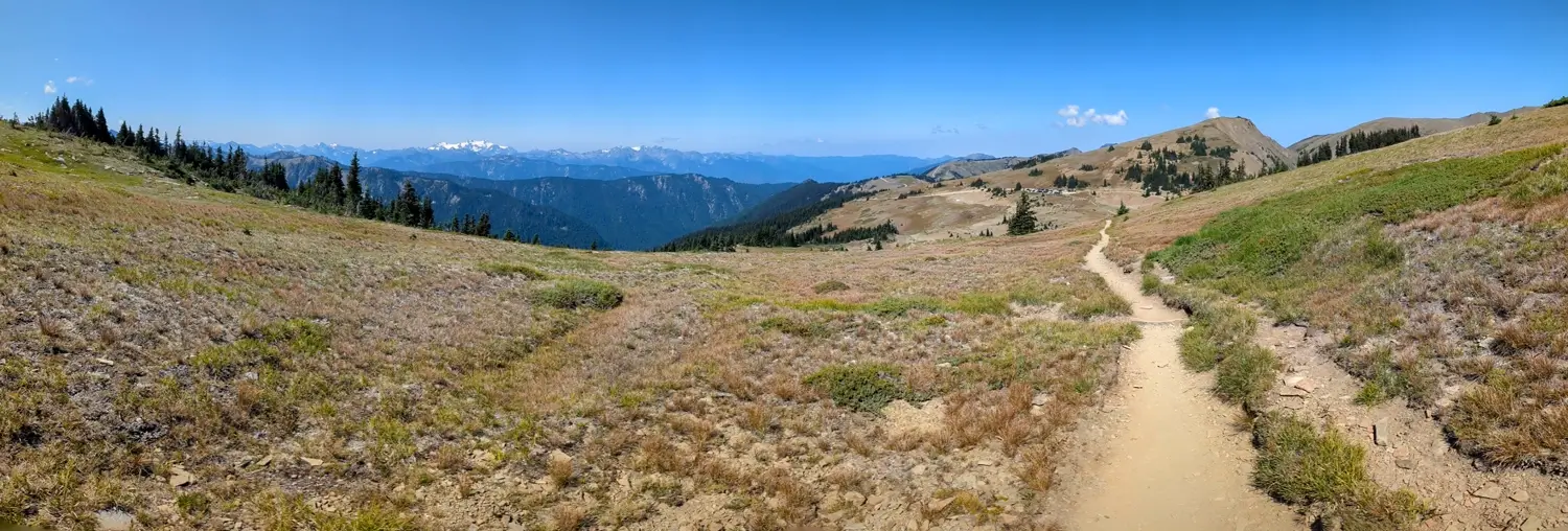 Grand Valley Trail Panorama A wide, open alpine meadow with a dusty trail winding into the distance, leading toward rolling hills and mountain ridges under a clear blue sky, showcasing the vast landscape of Hurricane Ridge.
