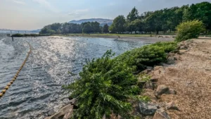 Maryhill State Park: A Perfect Picnic Stop on I-84