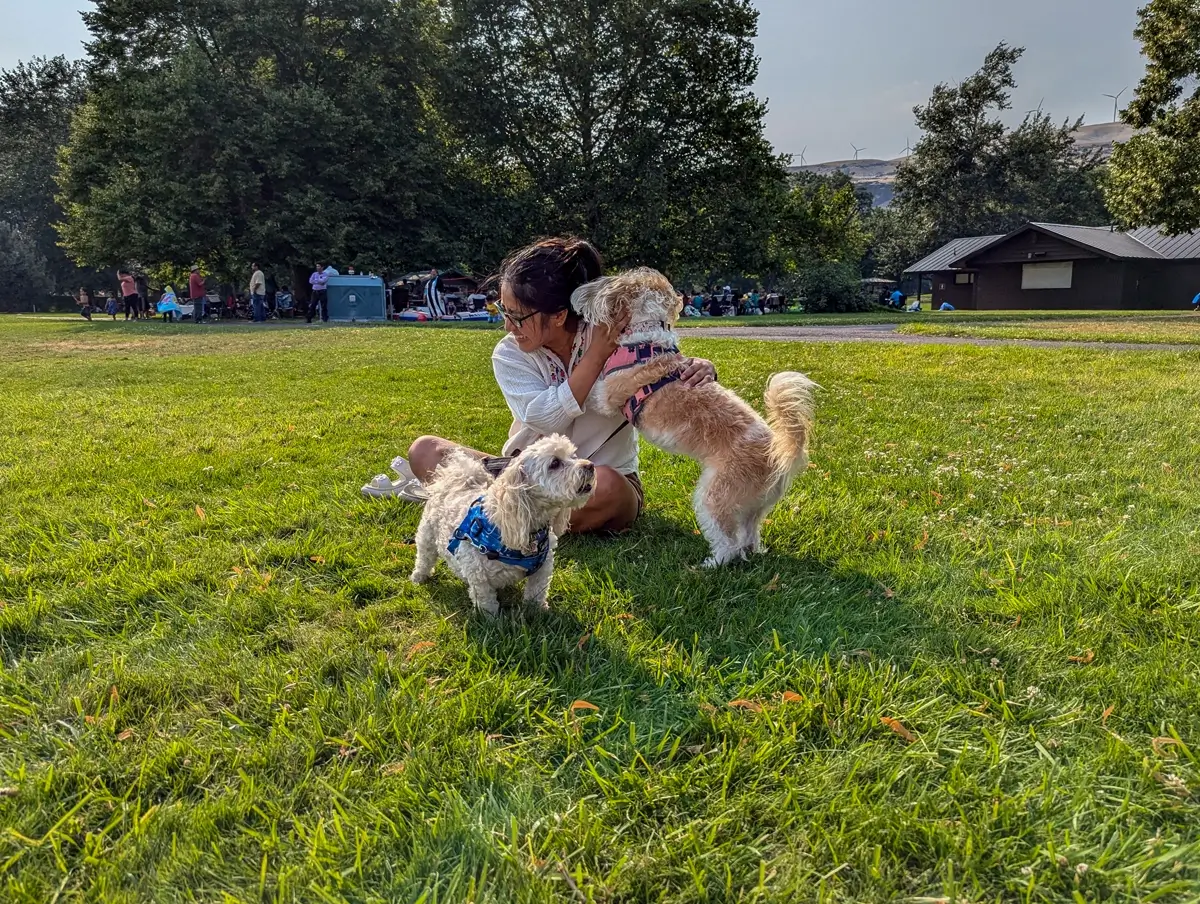 Minerva Toby And Lily At Maryhill State Park A woman kneels on the grass at Maryhill State Park hugging a tan and white dog wearing a pink harness, while a second smaller dog in a blue harness stands nearby on the open field with groups of people and trees in the distance.