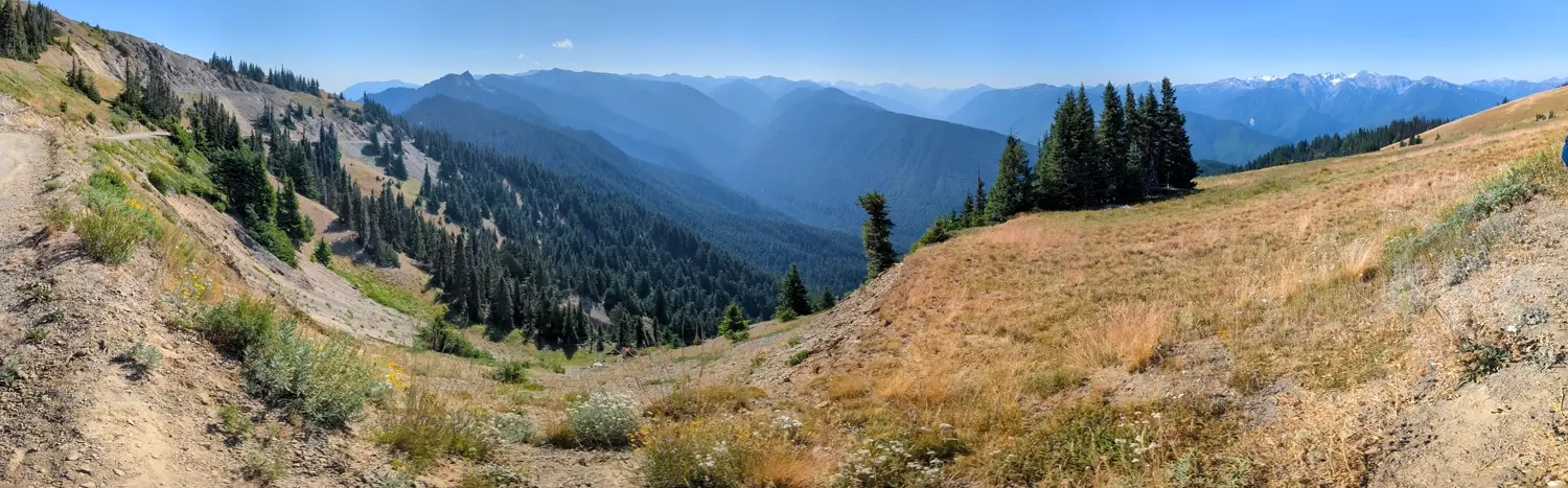 Obstruction Point Road Panorama