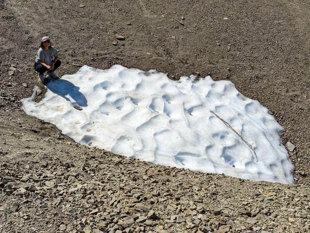 Snow On Grand Valley Trail Olympic National Park