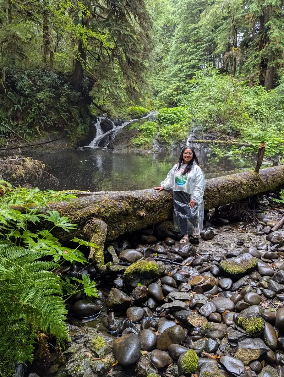 Waterfall Trail At Mossquatch A person stands by a mossy fallen log on the scenic waterfall trail at Mossquatch Resort, featuring a tranquil forest pool and small waterfall, perfect for nature exploration on the Olympic Peninsula.