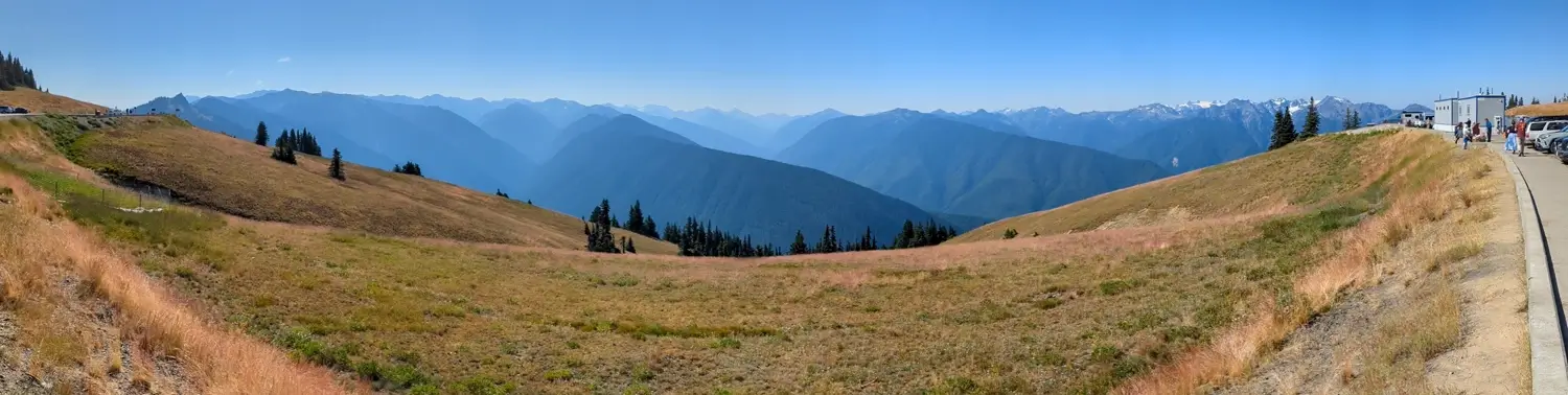 A expansive daytime panoramic view from Hurricane Ridge in Olympic National Park. The image shows a wide, grassy meadow bordered by a road and the visitor center, leading the eye to a majestic vista of the blue-hued Olympic Mountains under a clear sky.