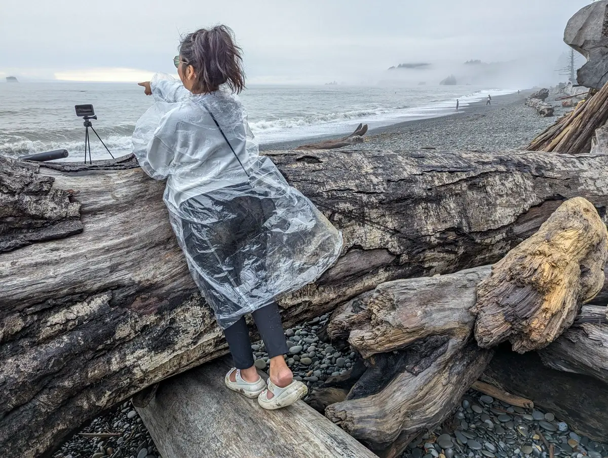 A young woman, seen from behind, leans on a large, bleached driftwood log on Rialto Beach. She wears a clear plastic rain poncho and points toward the misty Pacific Ocean. A small tripod and camera are set up on the log next to her.