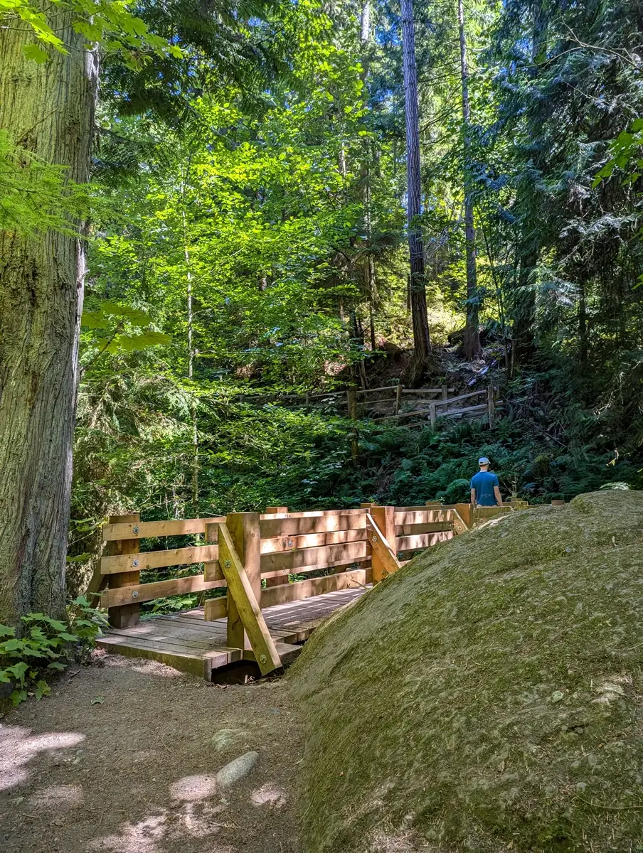 Peabody Creek Trail Bridge Wooden footbridge along Peabody Creek Trail in Olympic National Park, surrounded by towering evergreen trees and lush forest greenery.
