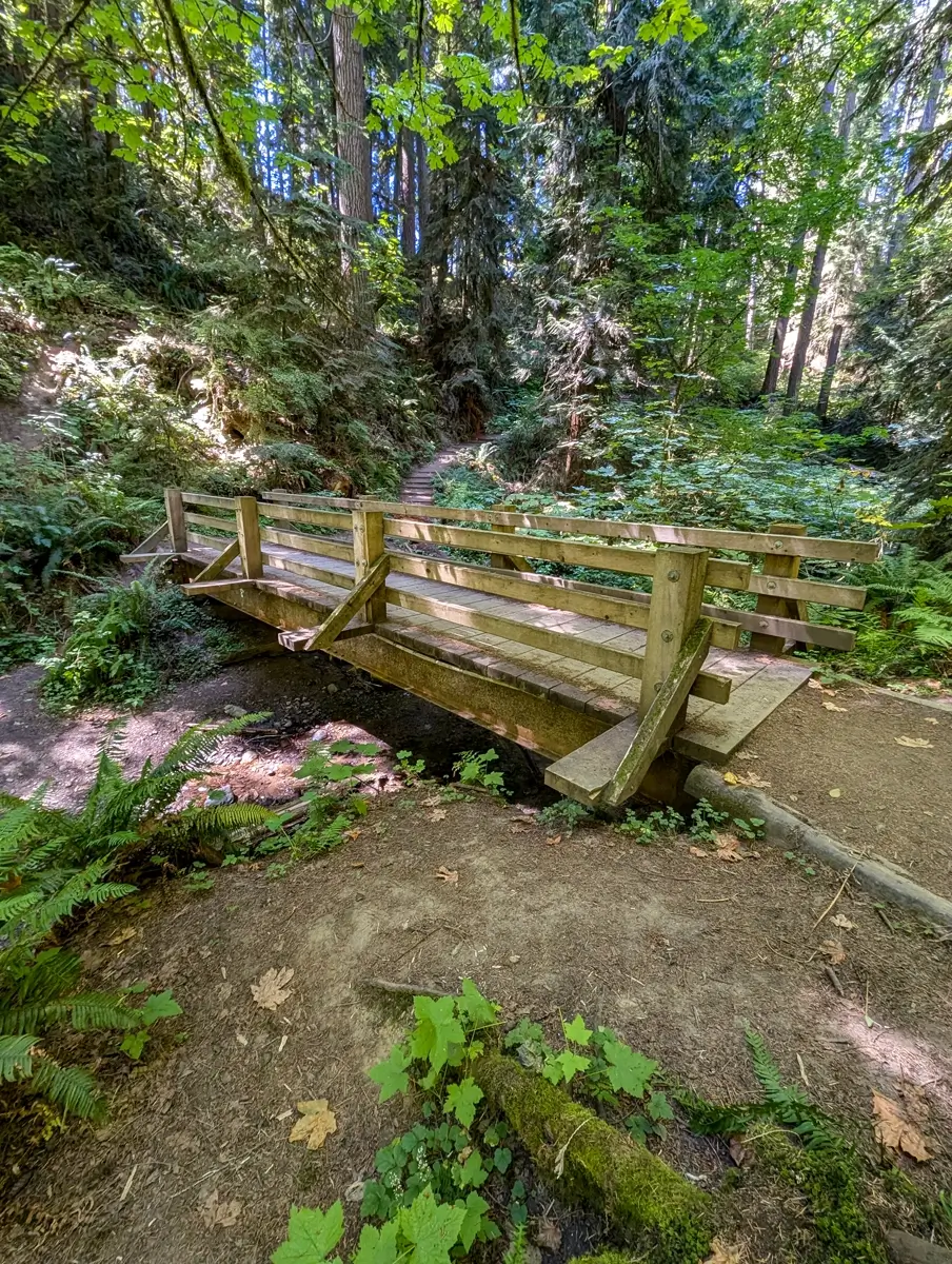 Peabody Creek Trail Olympic National Park A rustic wooden footbridge crosses a small, rocky creek on the Peabody Creek Trail in Olympic National Park. The trail is surrounded by a dense, temperate rainforest with large ferns, fallen leaves, and moss-covered logs, creating a peaceful and natural hiking scene.