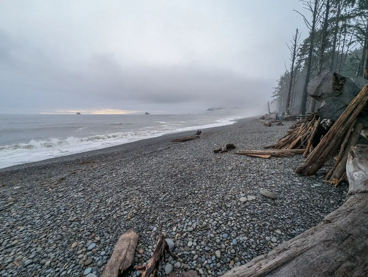 A wide-angle, low-perspective view of the stunning Rialto Beach coastline, showing the vast gray cobblestone beach and the powerful Pacific waves crashing on the shore. The shoreline is littered with huge pieces of driftwood, and a dense, misty forest line borders the beach under a cloudy, overcast sky.