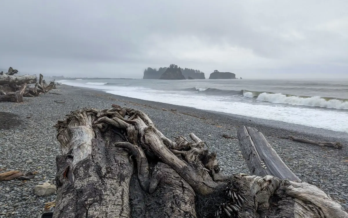 A detailed, low-angle shot of the textured surface of a massive piece of driftwood on Rialto Beach. The Pacific Ocean, with its breaking waves and distant sea stacks, forms the backdrop under a cloudy sky.