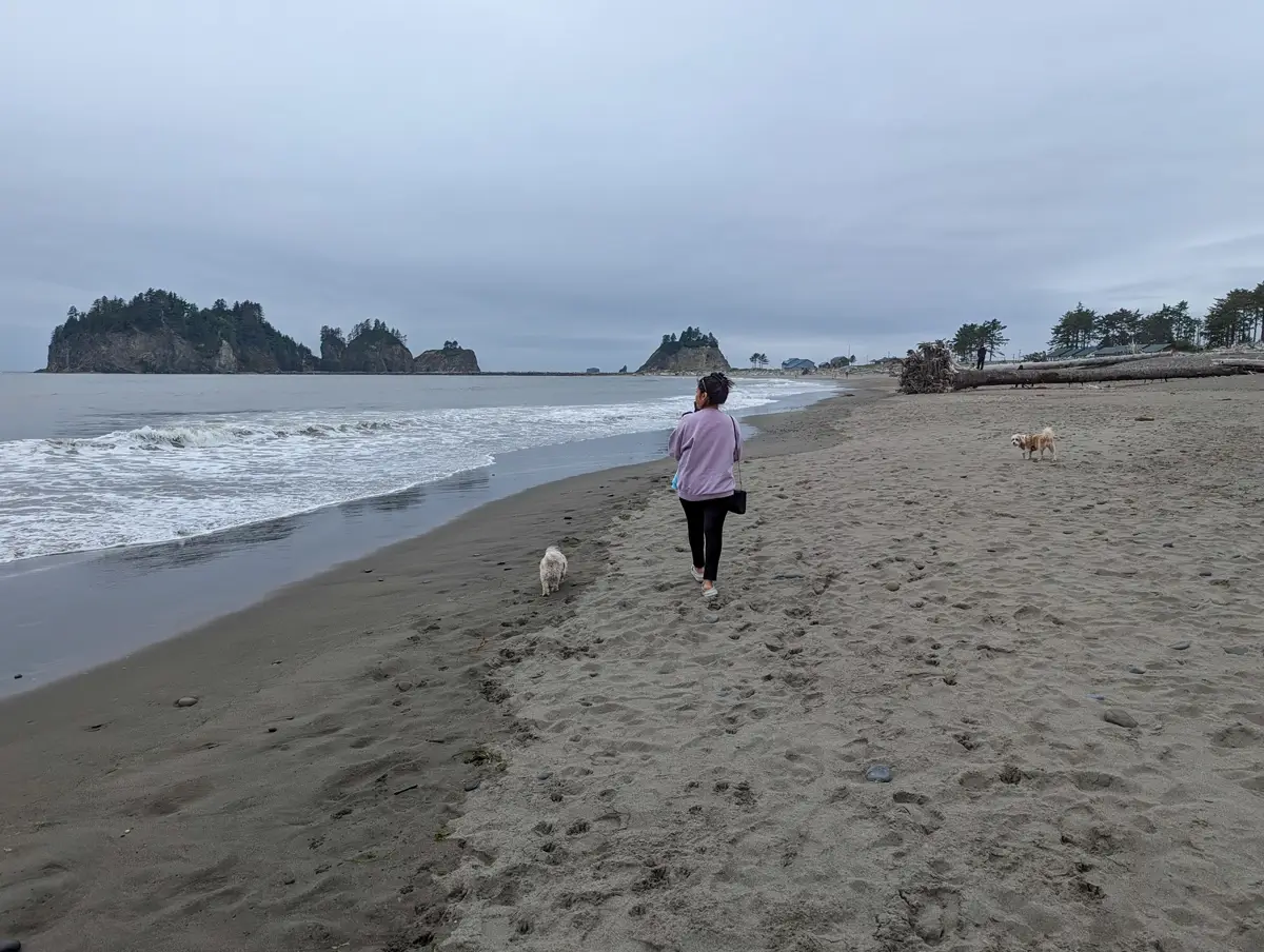 Walking Along First Beach La Push WA A person from behind walking along the sandy and pebbled shoreline of First Beach in La Push, Washington, with two small off-leash dogs exploring nearby.