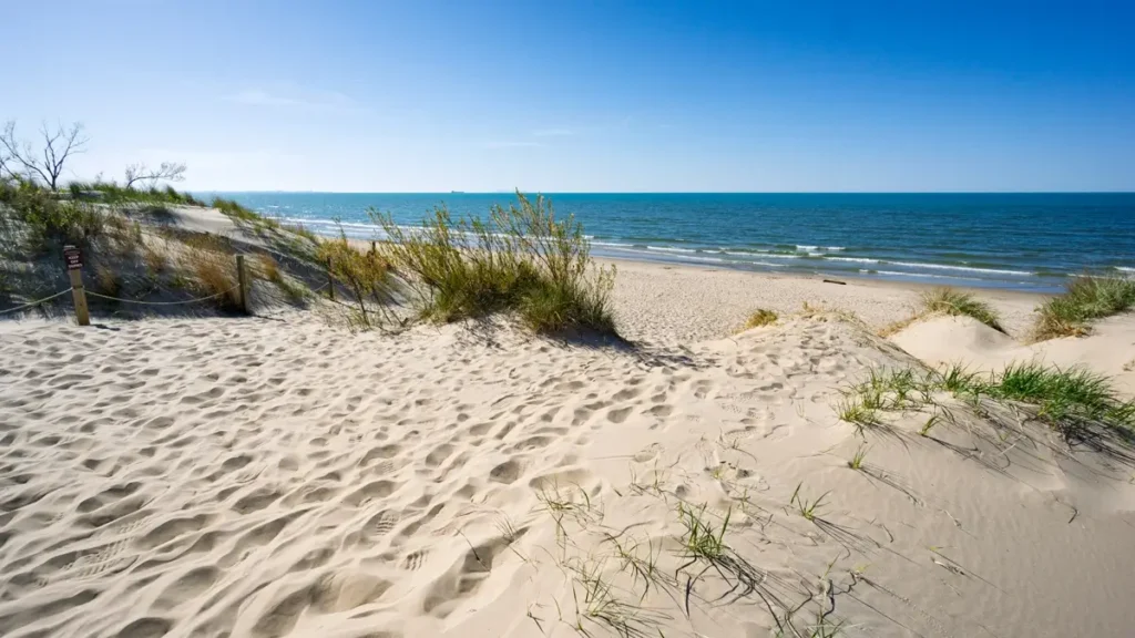 Sandy dunes with tall grasses leading to Lake Michigan along the Dune Succession Trail at Indiana Dunes National Park.