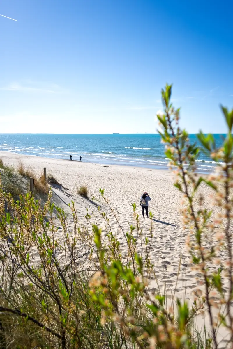 Minerva By Lake Michigan Indiana Dunes National Park Hiker stands on West Beach overlooking Lake Michigan at Indiana Dunes National Park.