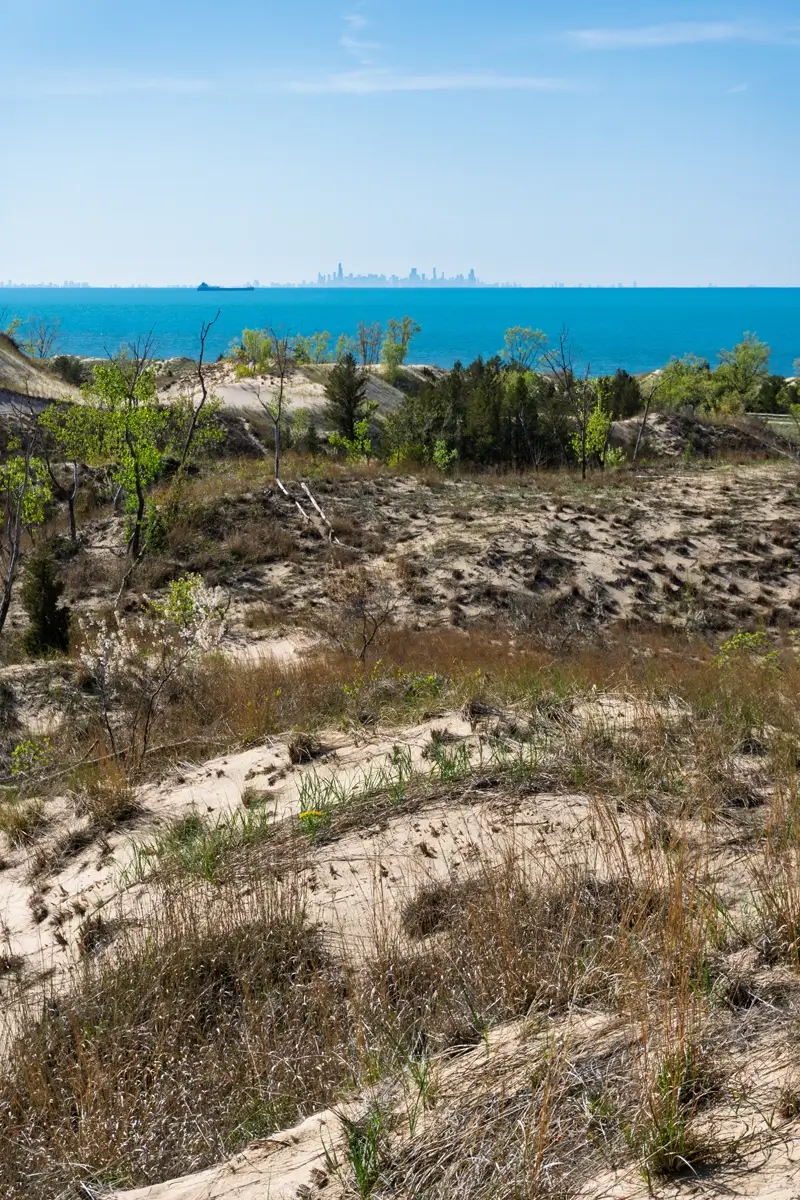 View Of Chicago From Dune Succession Trail View of the Chicago skyline from the Dune Succession Trail in Indiana Dunes National Park.