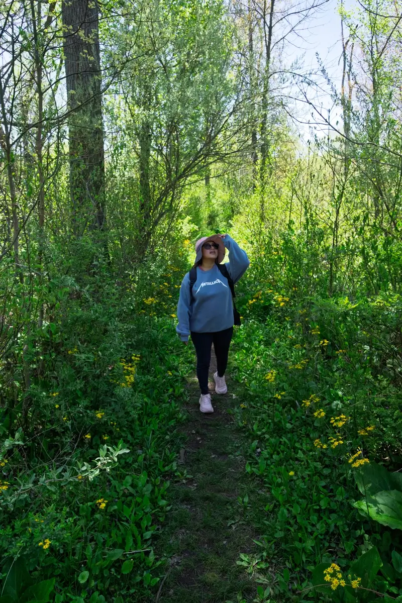 The Great Marsh Trail Indiana Dunes National Park Hiker walking down a narrow, forested trail surrounded by lush green foliage and scattered yellow wildflowers on the Great Marsh Trail, Indiana Dunes National Park.