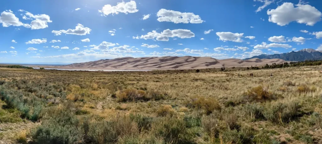 Expansive view of the Great Sand Dunes National Park in Colorado with sweeping sand dunes framed by grassy plains and distant mountains under a bright blue sky dotted with white clouds.