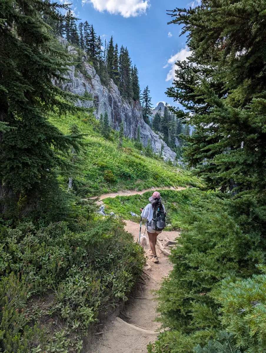 Hiking on the Pacific Crest Trail in Mount Rainier National Park, Washington. A hiker with a backpack and trekking poles walks up a dirt trail, framed by tall pine trees and a steep, rocky cliff face covered in lush green vegetation.