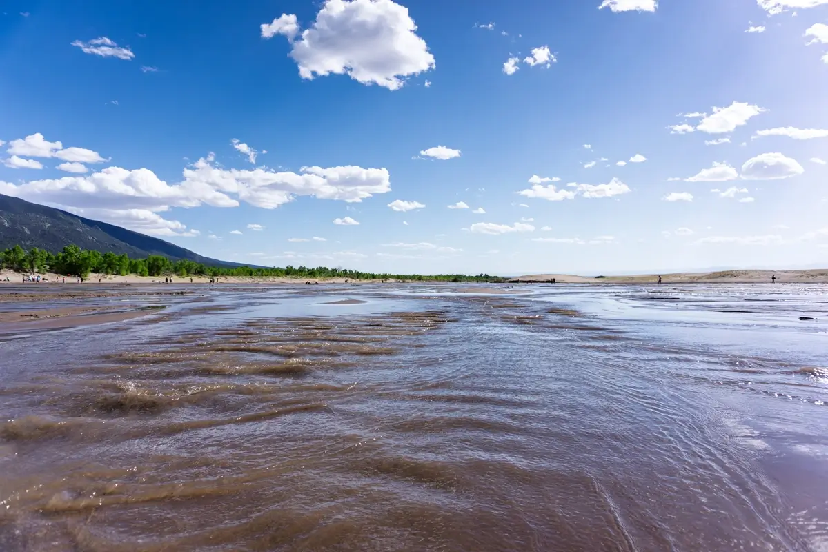 Medano Creek Wide, low-angle shot of Medano Creek flowing across the flat plain at the base of the sand dunes in Great Sand Dunes National Park, Colorado. The water is shallow and rippled, reflecting the bright blue sky and white clouds, with green trees and the distant mountains visible near the horizon.