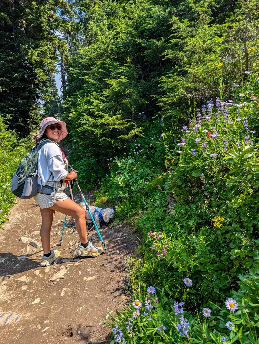 Hiker Minerva with her small dog Toby taking a break on the Pacific Crest Trail (PCT). She is wearing a sun hat and backpack, standing next to a dense patch of colorful wildflowers on the sunny, dirt trail in Mount Rainier National Park.
