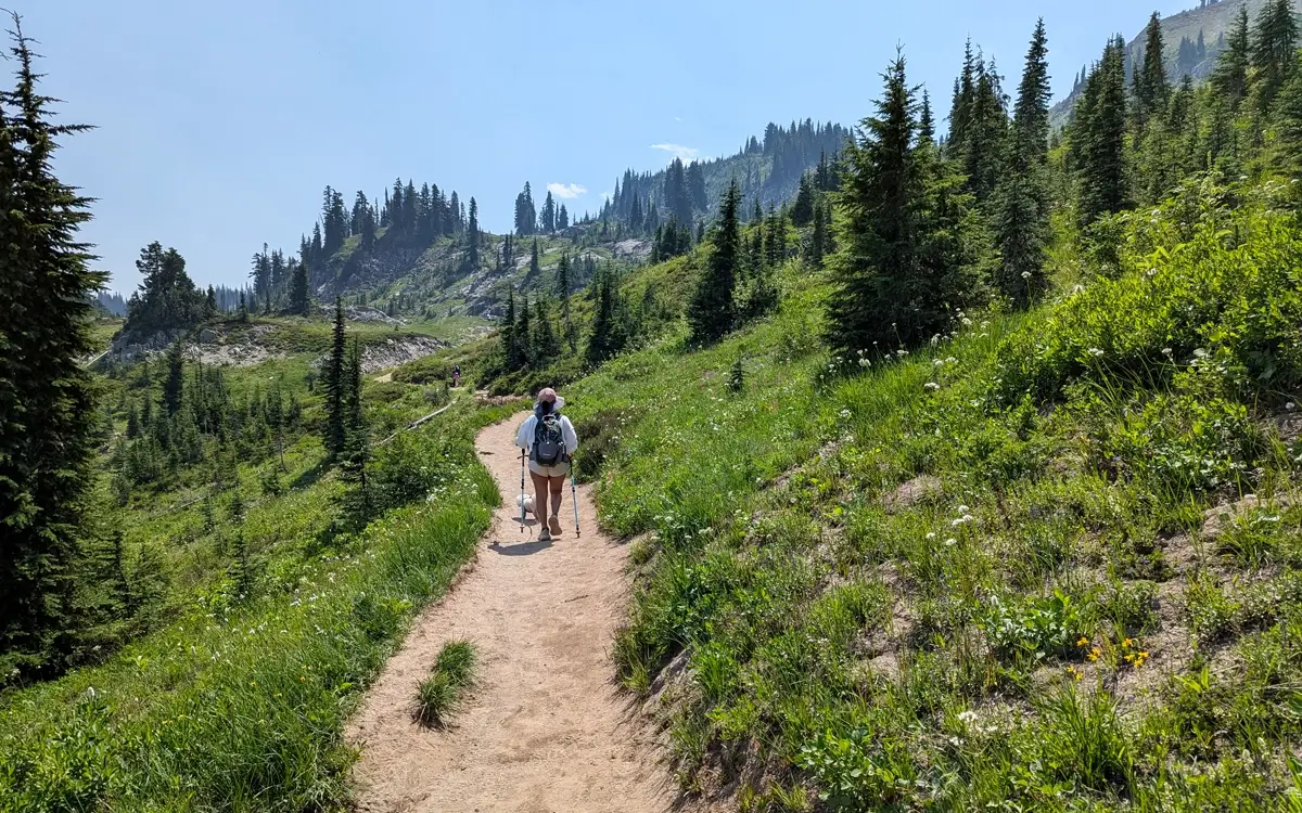 Hiker Minerva and small white dog Toby on a wide, sunny section of the Pacific Crest Trail. The trail cuts through an open alpine meadow with scattered wildflowers and evergreen trees leading up a gentle slope, showcasing the vast Mount Rainier wilderness.