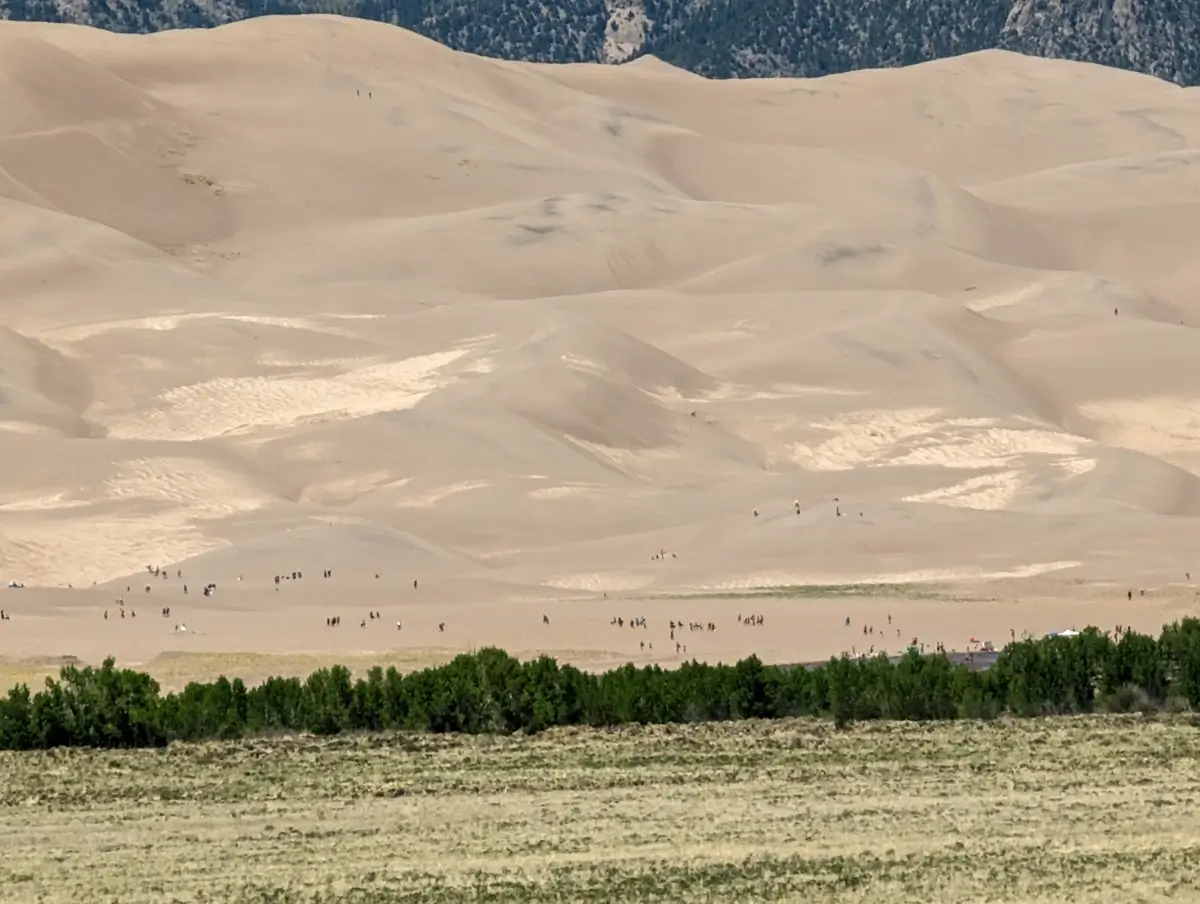 People In Great Sand Dunes National Park A zoomed-in view of the base of the massive sand dunes at Great Sand Dunes National Park, Colorado, showing dozens of people gathered and walking near the edge of the dune field. A strip of green trees and high grasses separates the sandy foreground from the tan, undulating slopes of the main dune mass.