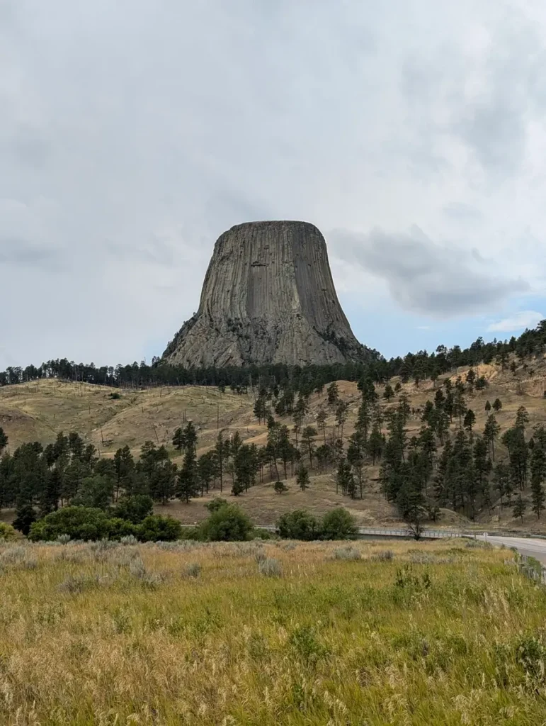 Devils Tower rises prominently above rolling hills and pine covered slopes with its vertical rock columns clearly visible. Tall grass fills the foreground while the massive formation stands against a cloudy sky emphasizing its scale and isolation.