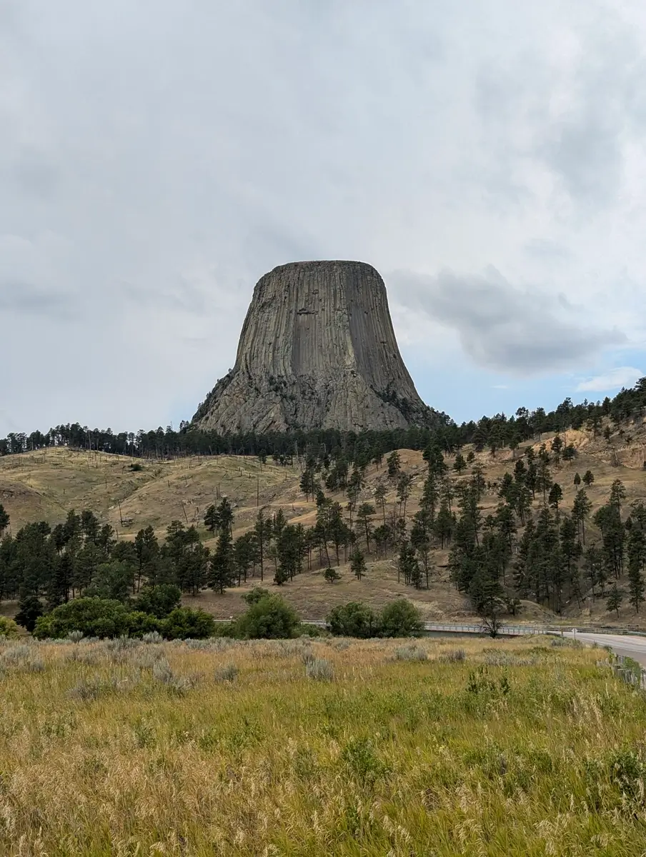 Devils Tower National Monument Devils Tower rises prominently above rolling hills and pine covered slopes with its vertical rock columns clearly visible. Tall grass fills the foreground while the massive formation stands against a cloudy sky emphasizing its scale and isolation.