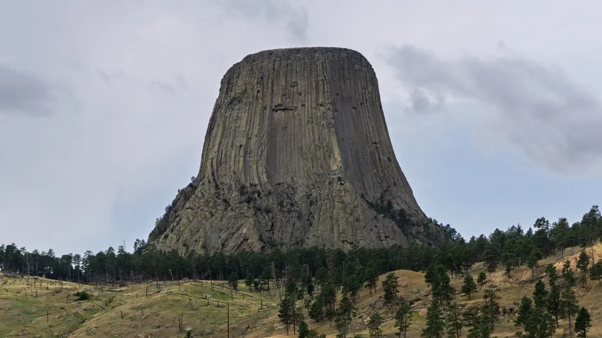 Devils Tower Wyoming Devils Tower rises sharply from the surrounding hills showing its tall columned rock formation. Pine trees cover the lower slopes beneath the towering monument and an overcast sky.