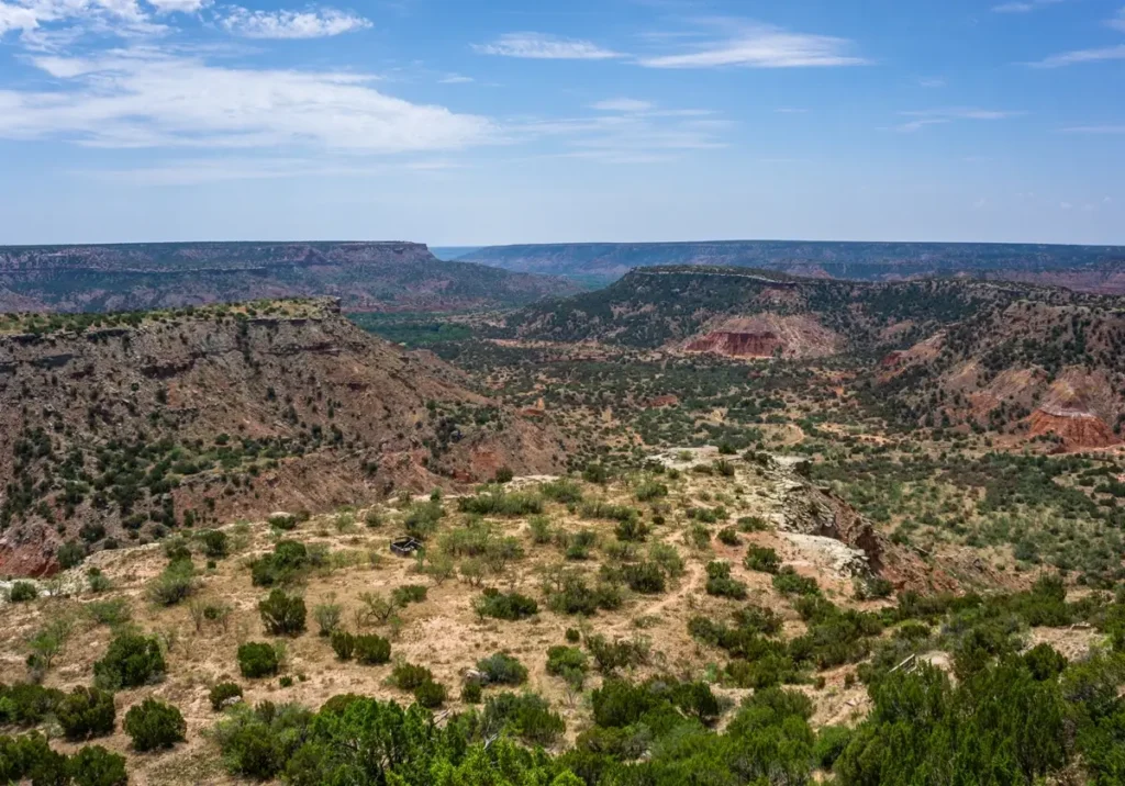 A wide canyon landscape with layered red and tan rock formations, sparse shrubs, and winding terrain stretching into the distance. The image highlights the scale of the canyon and the rugged, arid environment.