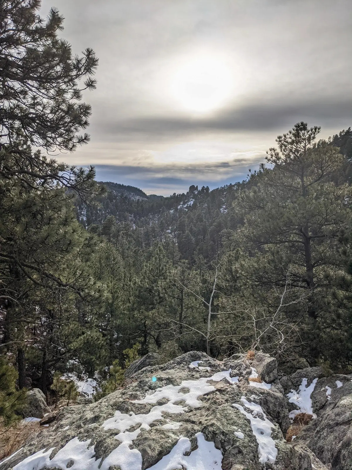 Scenic winter landscape looking over snowy pine forest covered hills from the trail at Horse Thief Lake near Mount Rushmore.