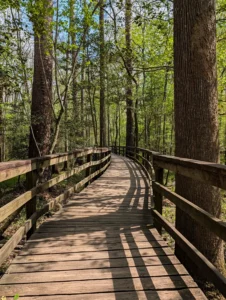 Congaree National Park With Dogs: What It’s Like Visiting in Spring
