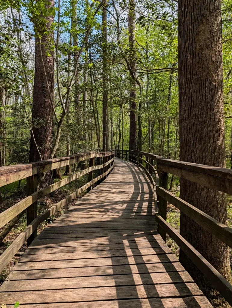Congaree National Park With Dogs: What It’s Like Visiting in Spring