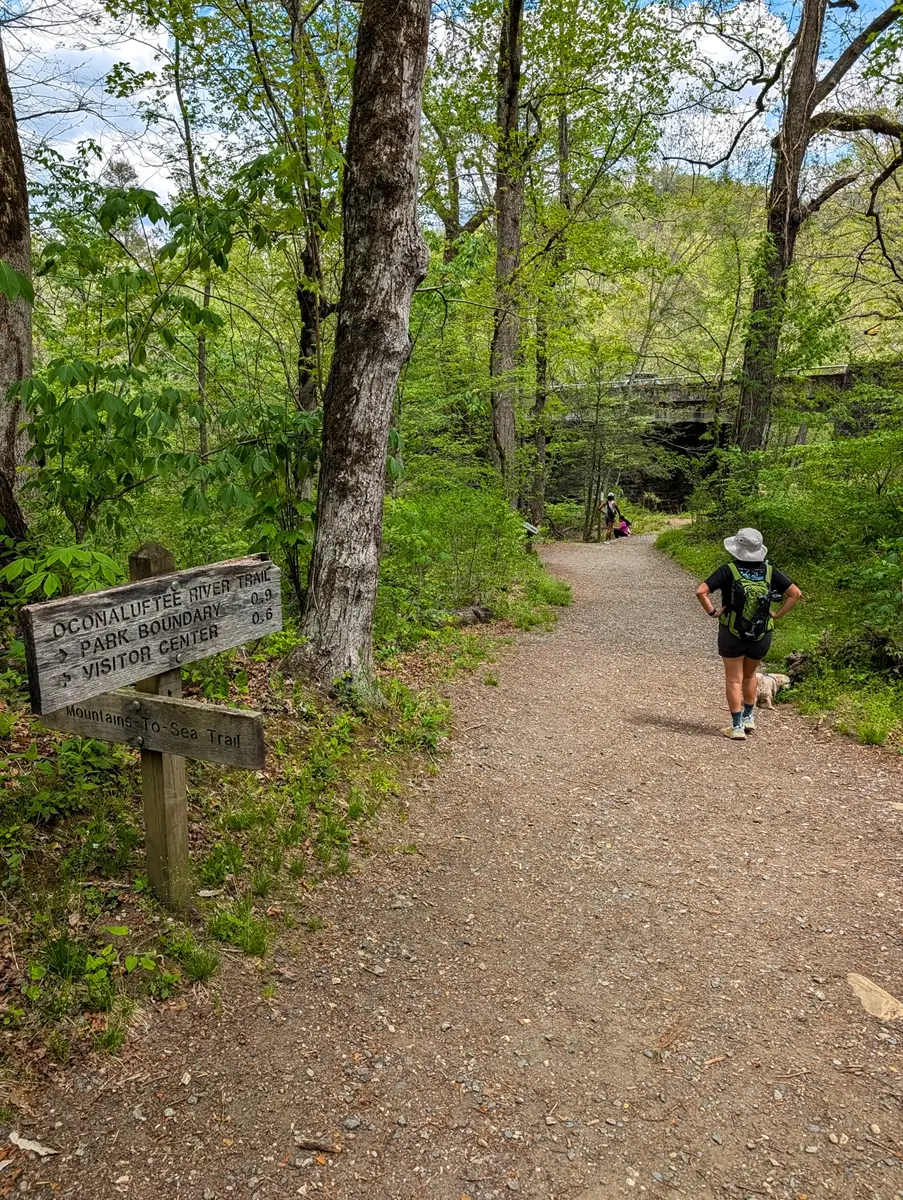 Oconaluftee River Trail in the Smokies, showing a wooden directional sign and a person hiking with a dog on the wide, gravel path.