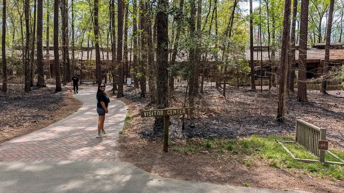 The paved walkway leading through the forest to the Harry Hampton Visitor Center, the main information hub for the Boardwalk Loop at Congaree National Park.