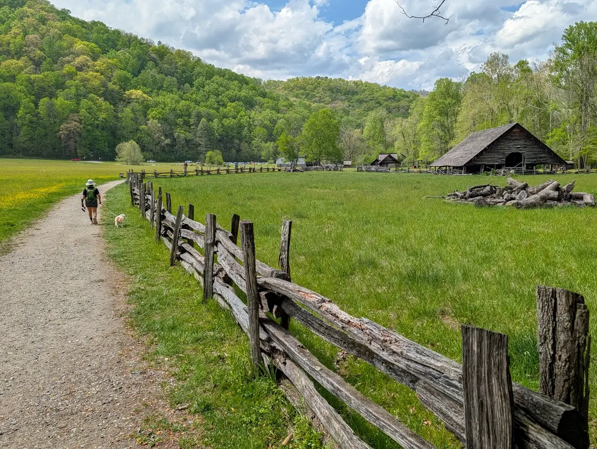 Minerva And Toby Walking Past Mountain Farm Museum Oconaluftee River Trail: A Dog-Friendly Hike in Great Smoky Mountains National Park