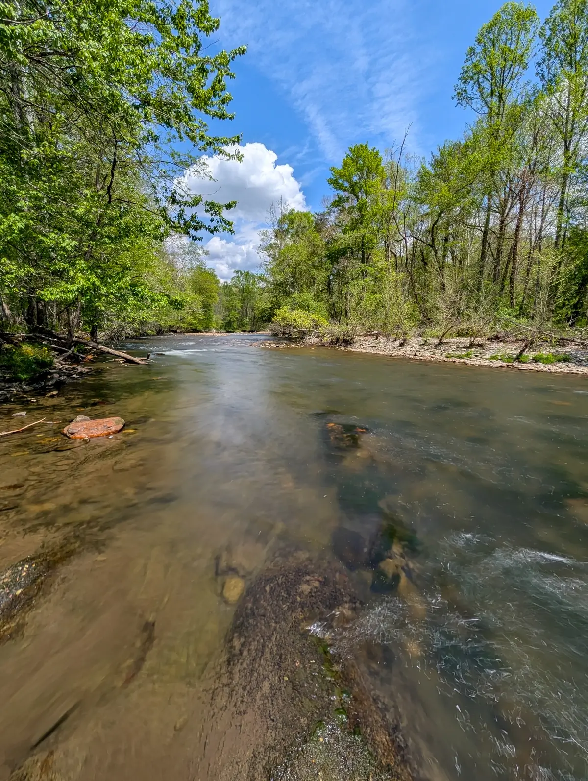 A wide-angle view of the clear, flowing Oconaluftee River under a blue sky, illustrating the scenic landscape along this dog-friendly trail in the Smokies.
