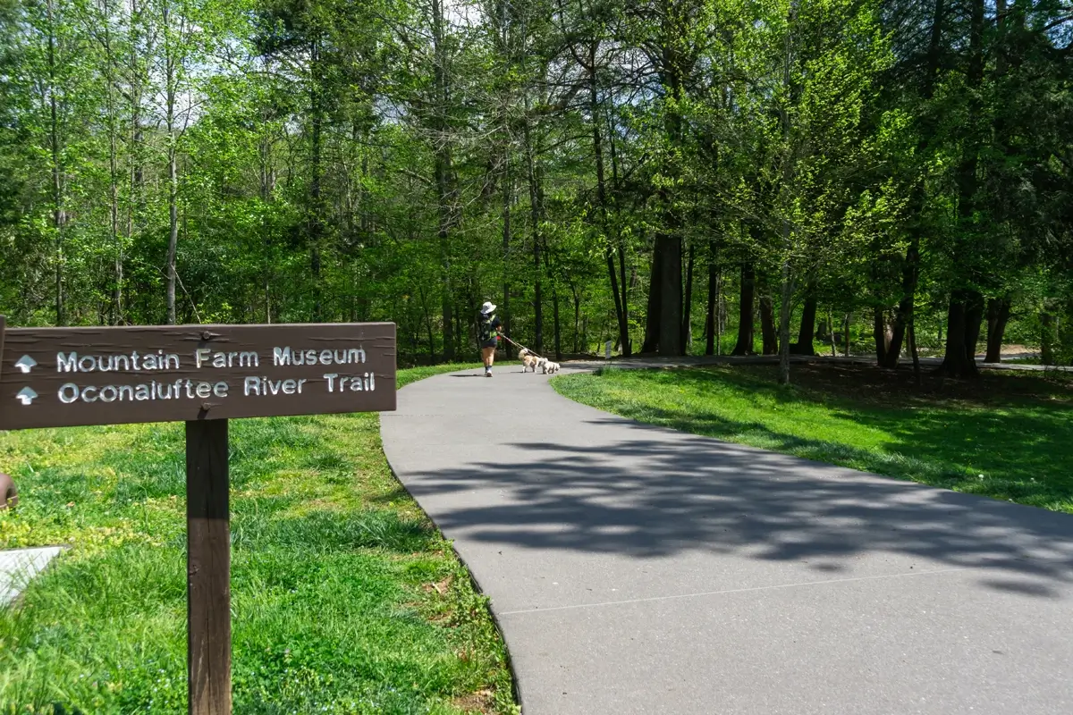 A wooden sign directing visitors to the Mountain Farm Museum and Oconaluftee River Trail, featuring a woman walking two small dogs on a paved, shaded path.