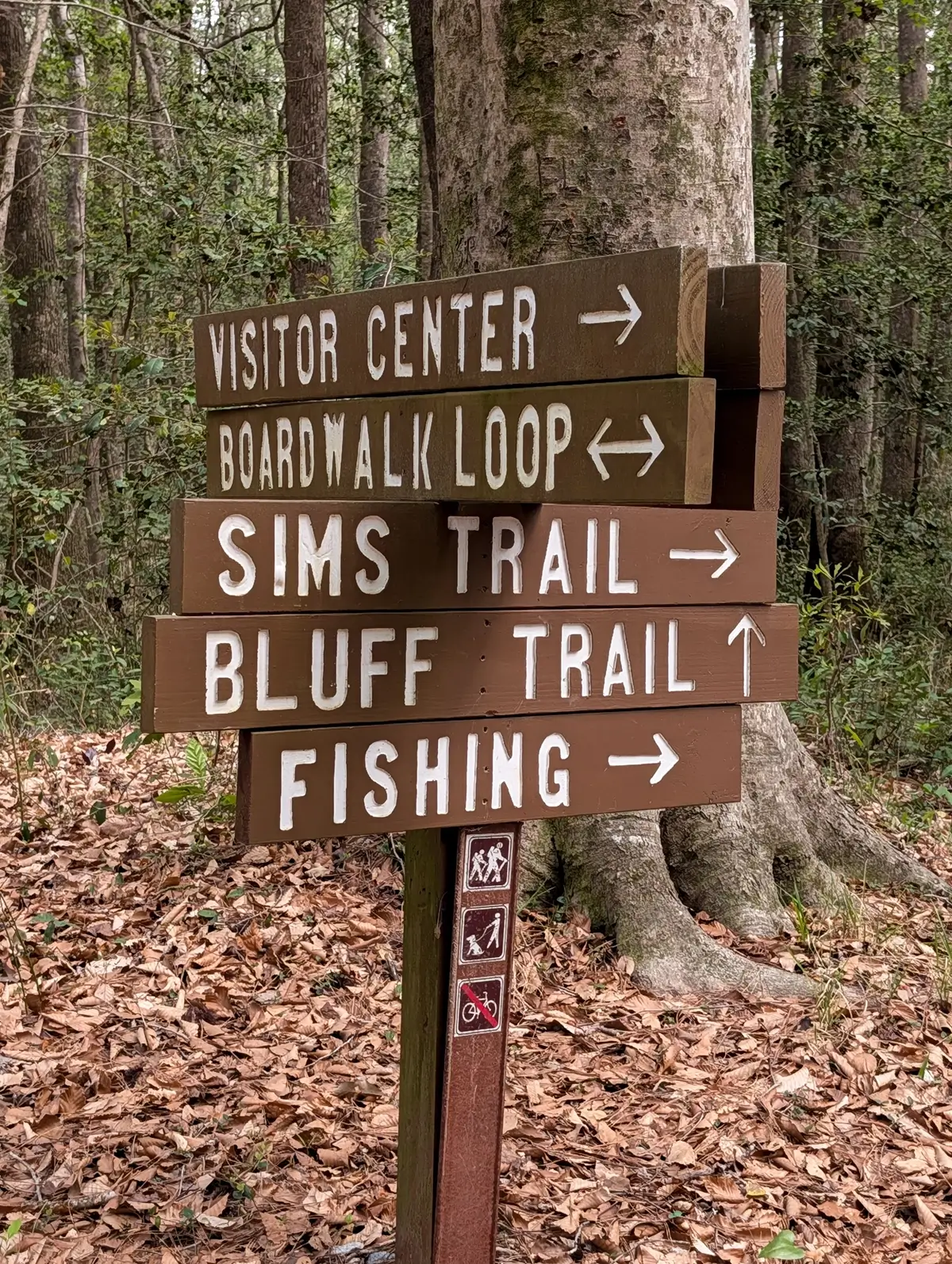 A cluster of trail signs at an intersection, pointing the way to the Boardwalk Loop, Sims Trail, Bluff Trail, and other hiking paths in Congaree National Park.